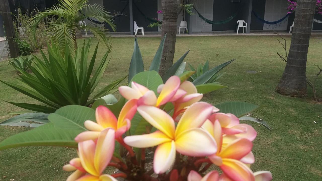 Capri Hotel 南圣弗朗西斯科 外观 照片